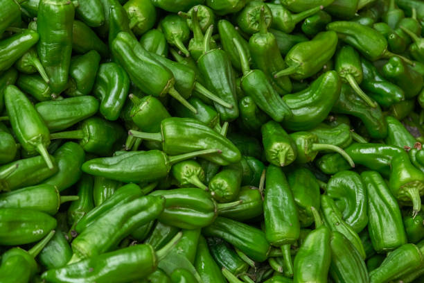 Agrupa Marca Padron pepper