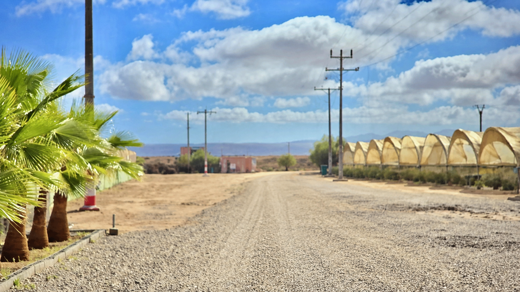 MAGOPCO farm road and protected greenhouses in Souss-Massa